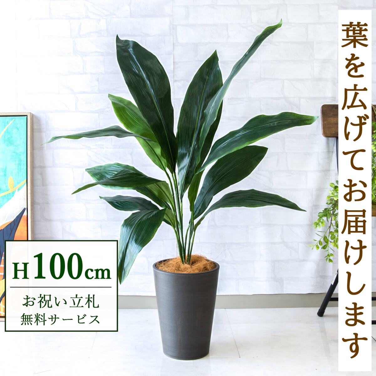 【すぐ飾れる】 フェイクグリーン ハラン 100cm  鉢付き / 法人・開店祝い 店舗・オフィス装飾 空間演出 立札無料・造花/PG083-X20BK