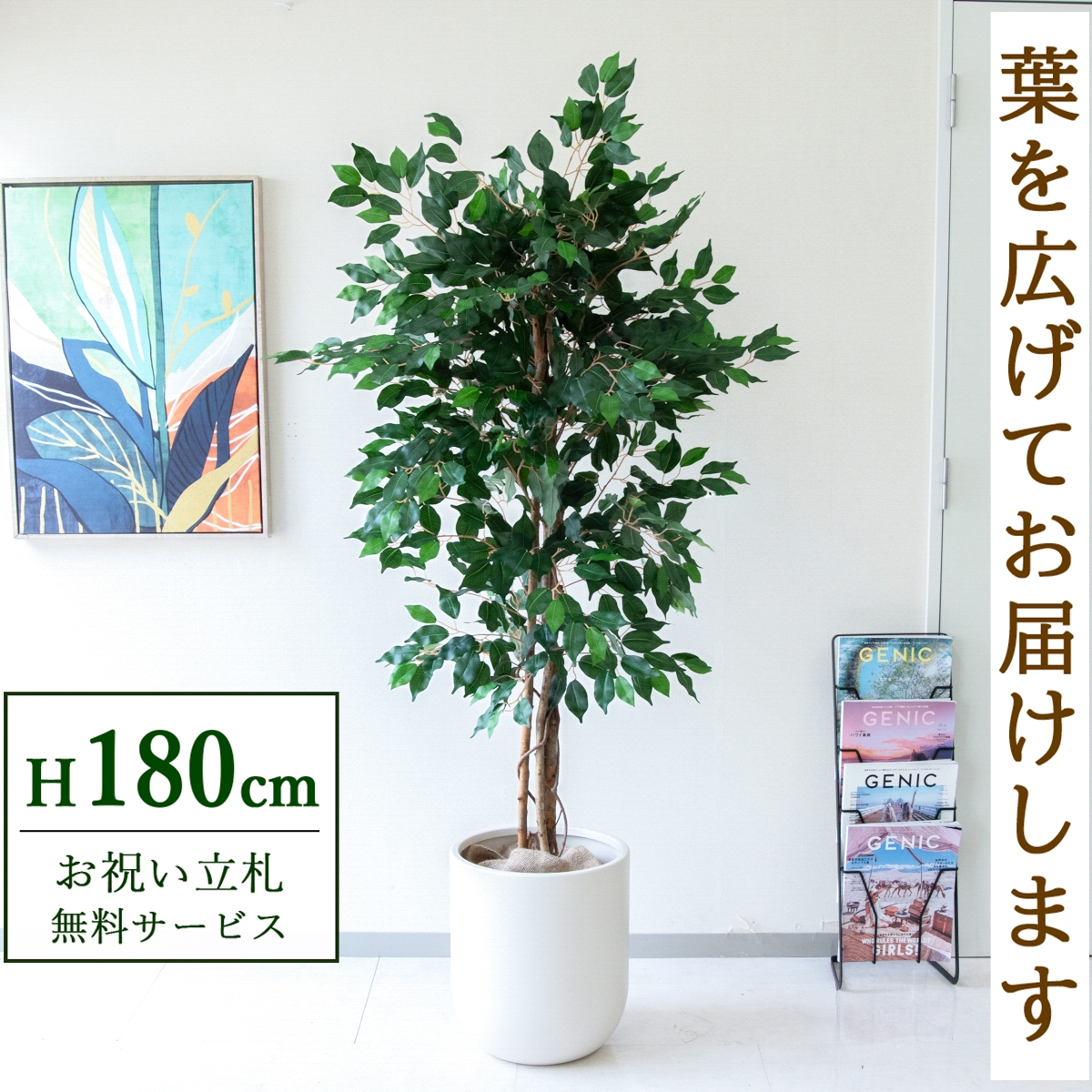 【すぐ飾れる】 フェイクグリーン フィカス ベンジャミン 180cm  大型 鉢付き / 法人・開店祝い 店舗・オフィス装飾 空間演出 立札無料・造花/PG091-CHC33IV