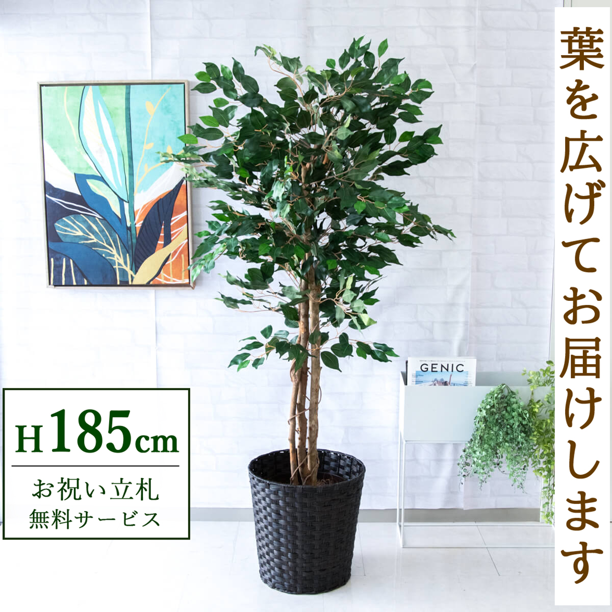 【すぐ飾れる】 フェイクグリーン フィカス ベンジャミン 185cm  大型 鉢付き / 法人・開店祝い 店舗・オフィス装飾 空間演出 立札無料・造花/PG091-MEL38DB