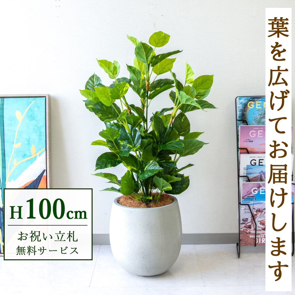 【すぐ飾れる】 フェイクグリーン フレッシュポトス 100cm 鉢付き / 法人・開店祝い 店舗・オフィス装飾 空間演出 立札無料・造花/PG093-BAL30IV