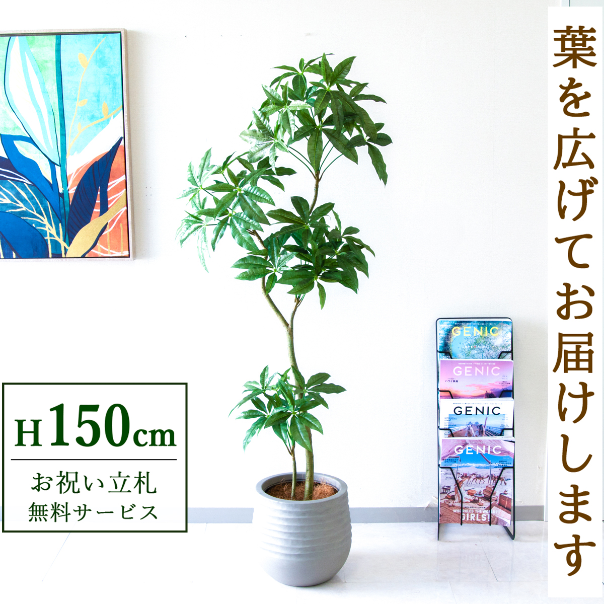 【すぐ飾れる】 フェイクグリーン パキラ 150cm  鉢付き / 法人・開店祝い 店舗・オフィス装飾 空間演出 立札無料・造花/PG1002-J30