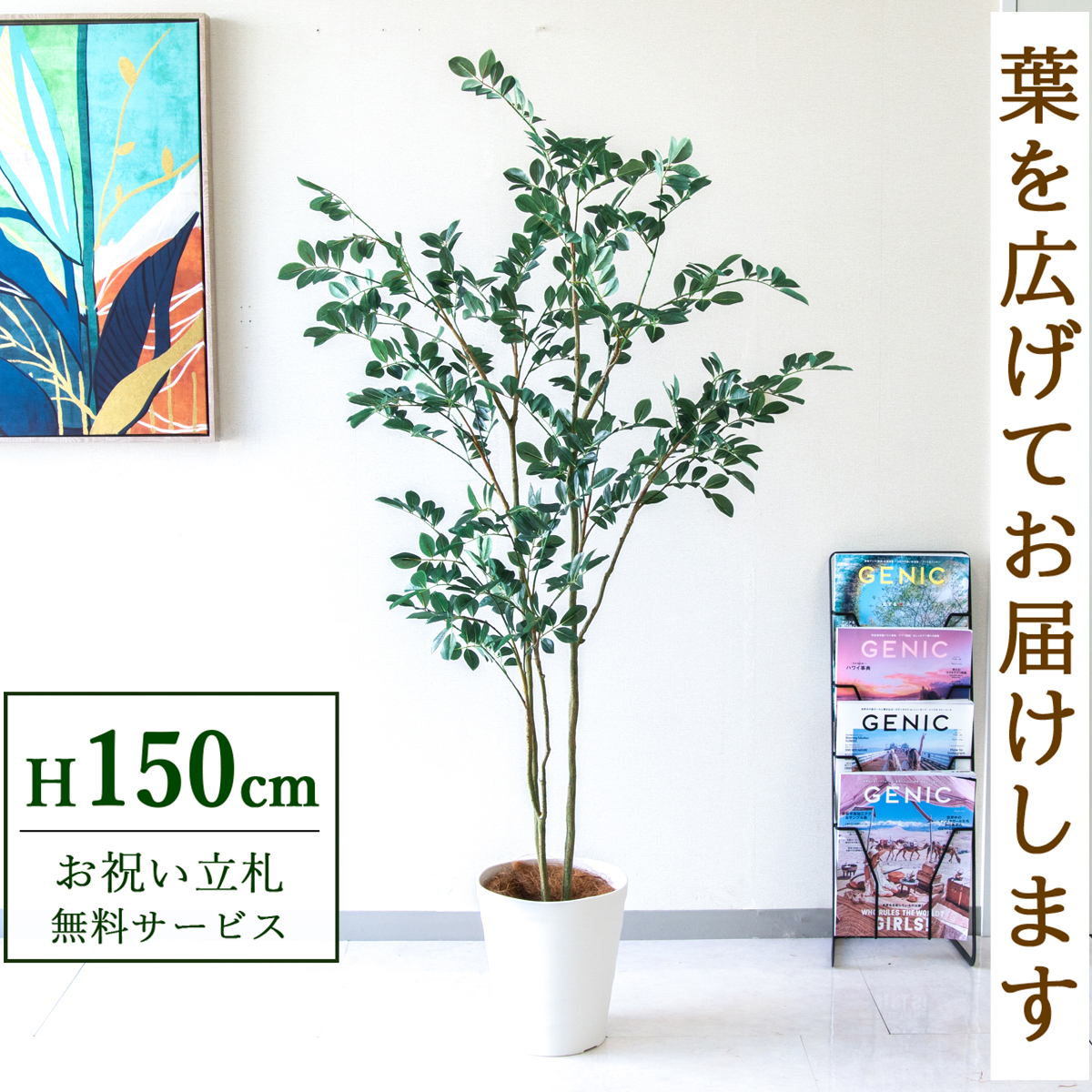 【すぐ飾れる】 フェイクグリーン フィカス ベンジャミン 150cm  鉢付き / 法人・開店祝い 店舗・オフィス装飾 空間演出 立札無料・造花/PG1004-B240WH