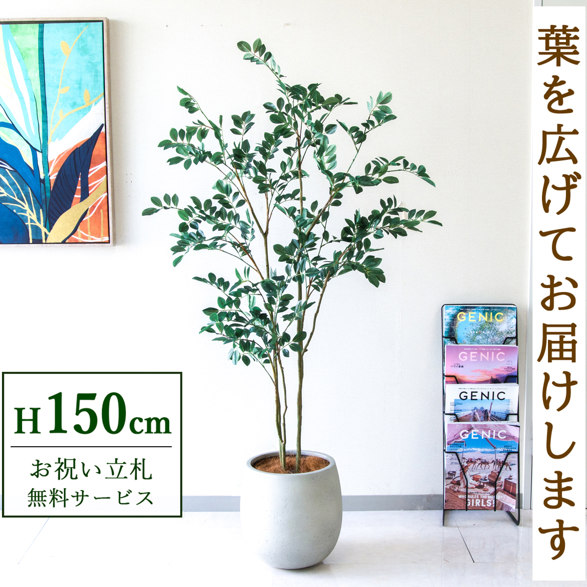 【すぐ飾れる】 フェイクグリーン フィカス ベンジャミン 150cm  鉢付き / 法人・開店祝い 店舗・オフィス装飾 空間演出 立札無料・造花/PG1004-BAL30IV