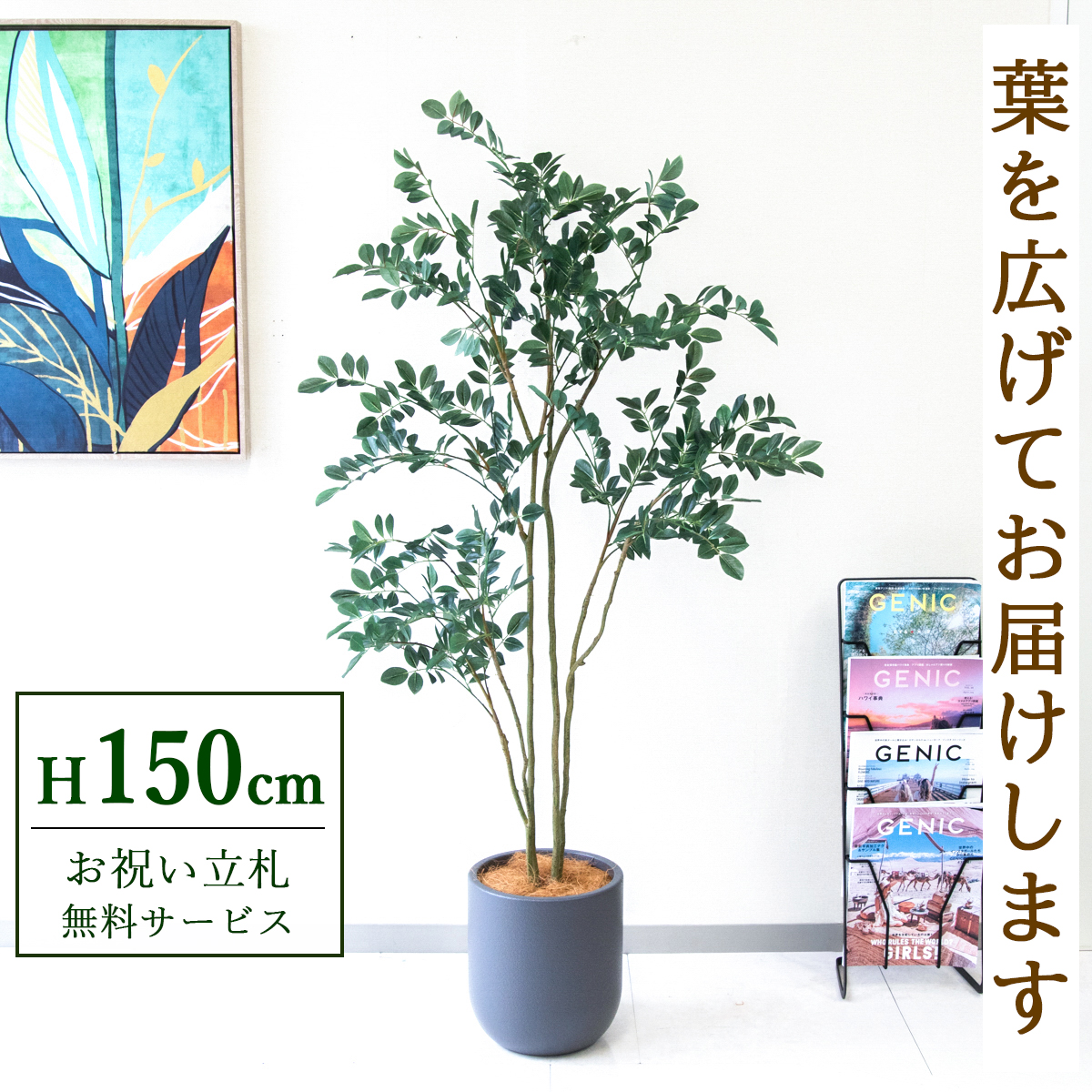 【すぐ飾れる】 フェイクグリーン フィカス ベンジャミン 150cm  鉢付き / 法人・開店祝い 店舗・オフィス装飾 空間演出 立札無料・造花/PG1004-CHC25GY