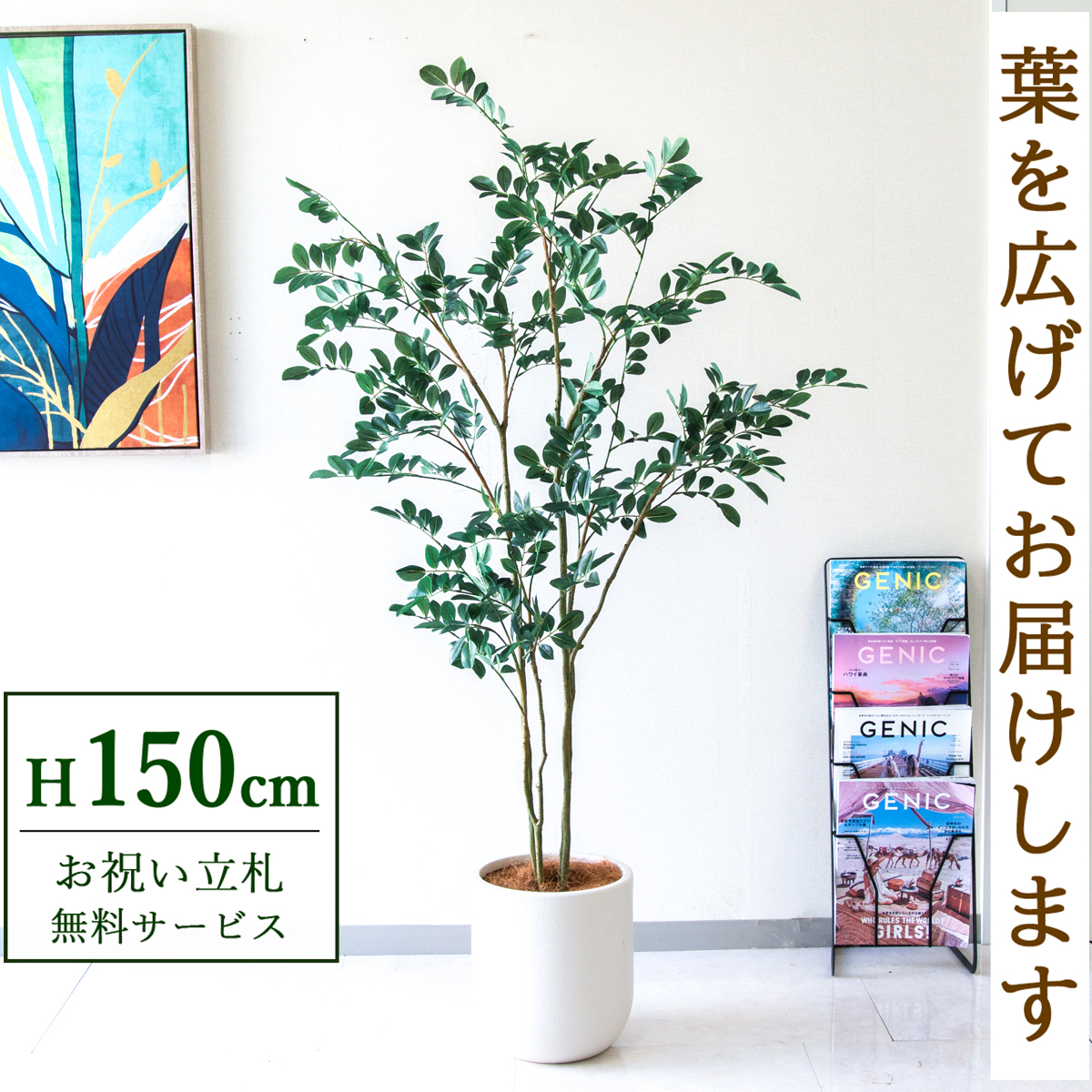 【すぐ飾れる】 フェイクグリーン フィカス ベンジャミン 150cm  鉢付き / 法人・開店祝い 店舗・オフィス装飾 空間演出 立札無料・造花/PG1004-CHC25IV