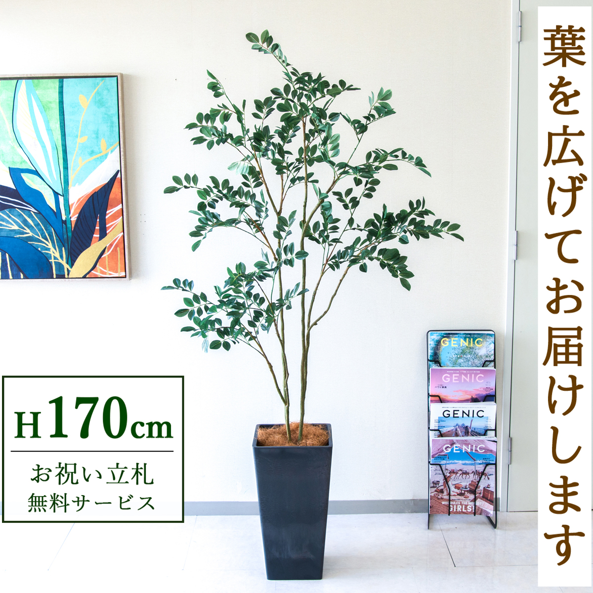 【すぐ飾れる】 フェイクグリーン フィカス ベンジャミン 170cm  大型 鉢付き / 法人・開店祝い 店舗・オフィス装飾 空間演出 立札無料・造花/PG1004-Q25BK