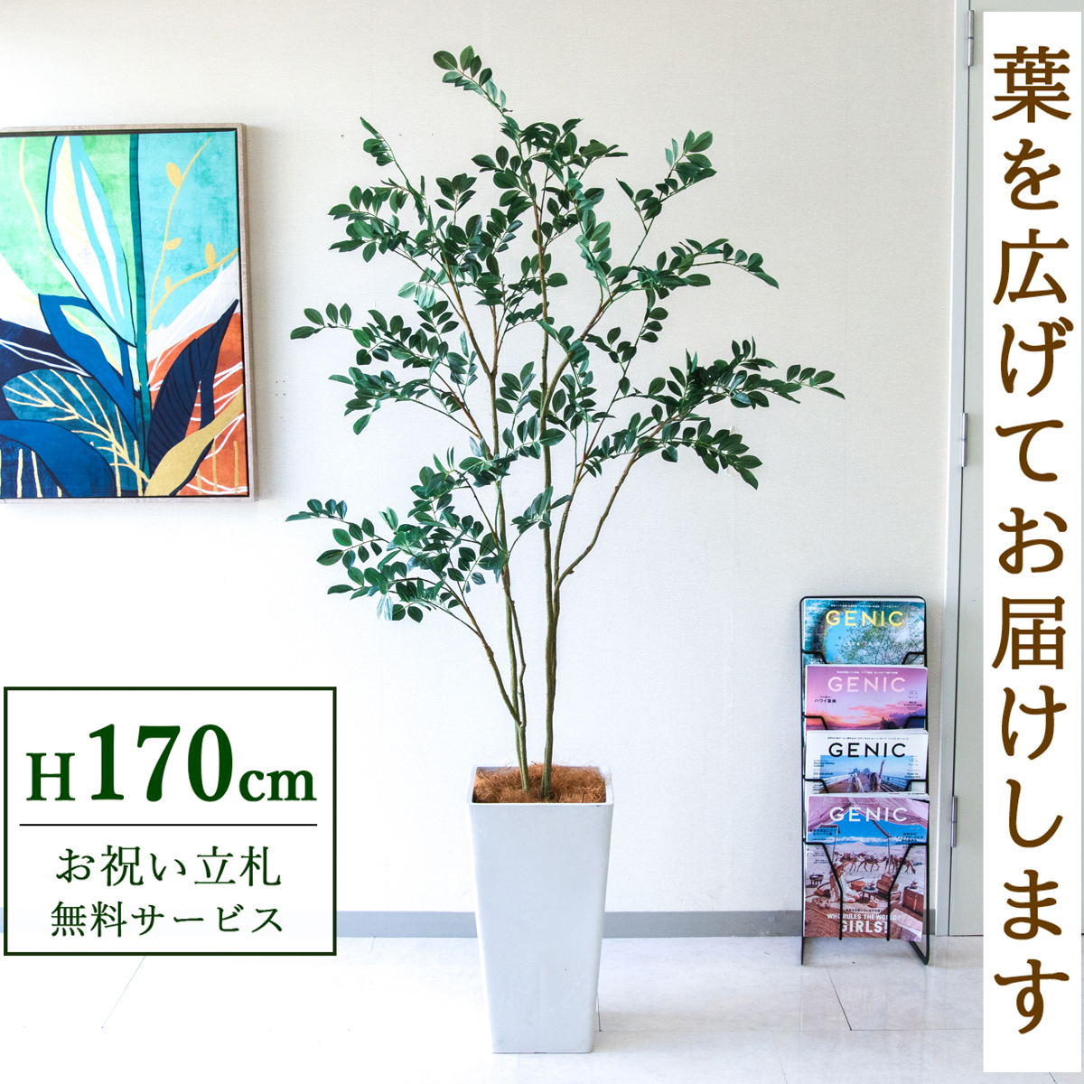 【すぐ飾れる】 フェイクグリーン フィカス ベンジャミン 170cm  大型 鉢付き / 法人・開店祝い 店舗・オフィス装飾 空間演出 立札無料・造花/PG1004-Q25WH