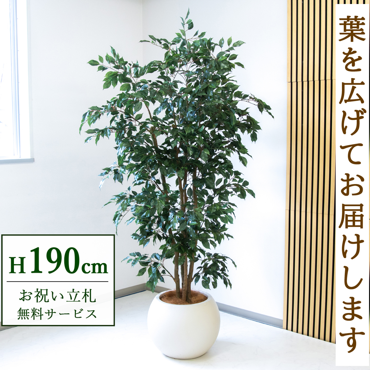 【すぐ飾れる】 フェイクグリーン フィカス ベンジャミン 190cm  大型 鉢付き / 法人・開店祝い 店舗・オフィス装飾 空間演出 立札無料・造花/PG1006-ROM43IV