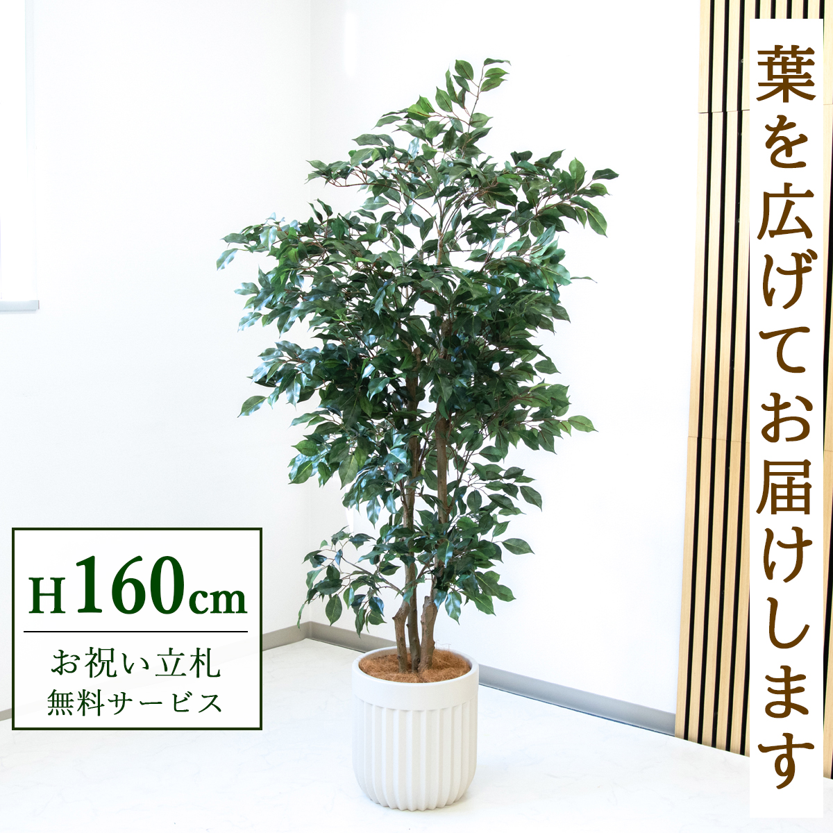 【すぐ飾れる】 フェイクグリーン フィカス ベンジャミン 160cm  鉢付き / 法人・開店祝い 店舗・オフィス装飾 空間演出 立札無料・造花/PG1007-BPK29IV
