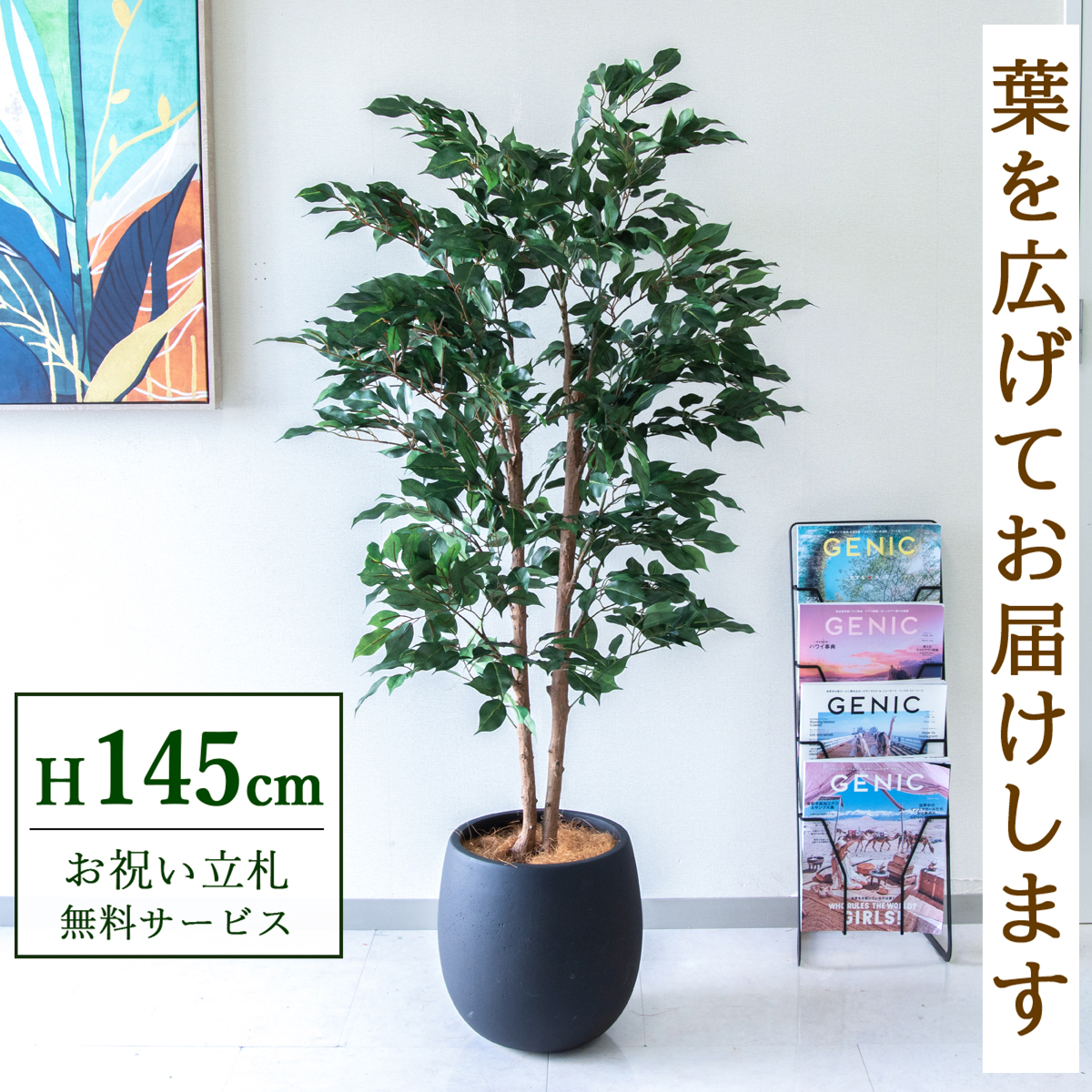 【すぐ飾れる】 フェイクグリーン フィカス ベンジャミン 145cm  鉢付き / 法人・開店祝い 店舗・オフィス装飾 空間演出 立札無料・造花/PG1008-BAL30BK