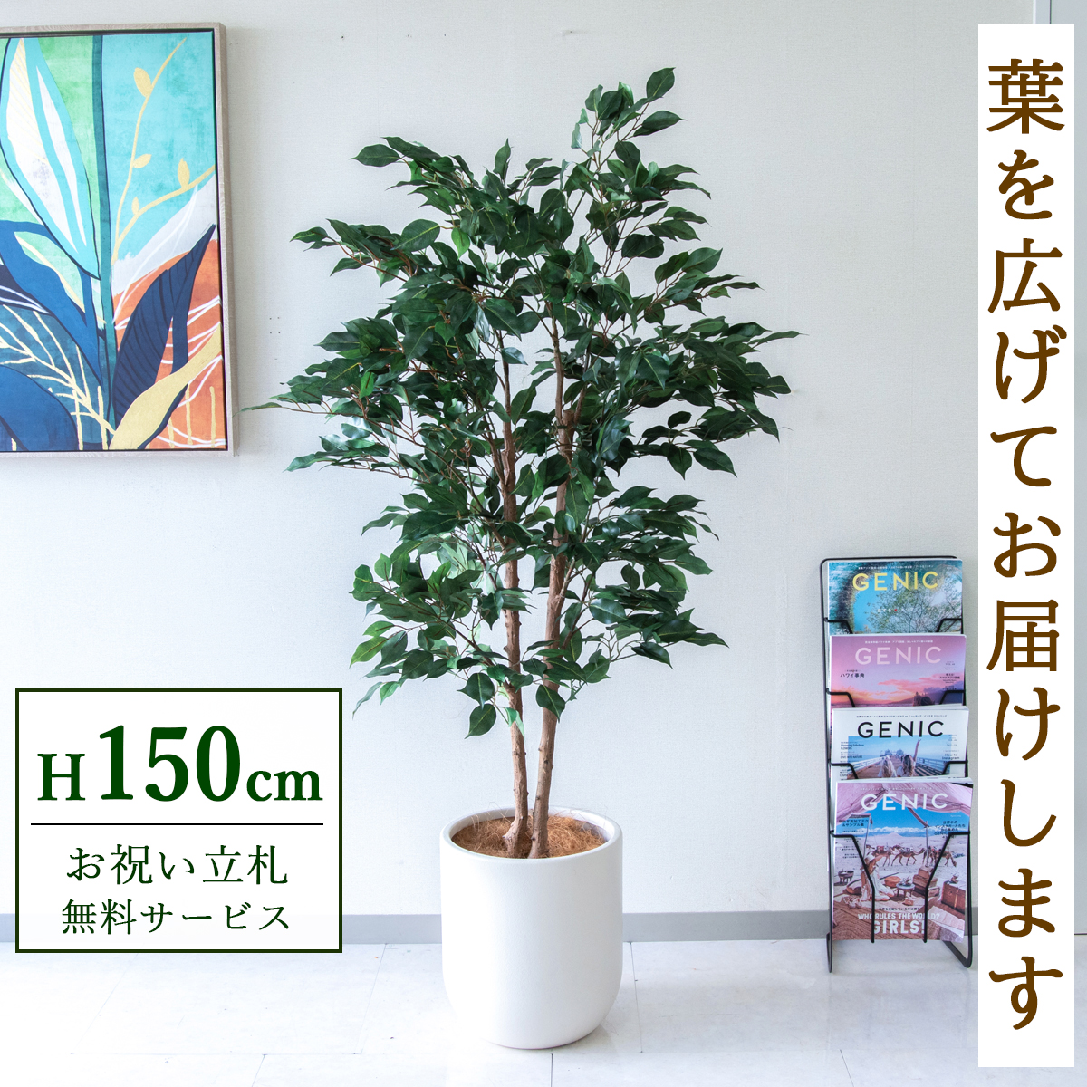 【すぐ飾れる】 フェイクグリーン フィカス ベンジャミン 150cm  鉢付き / 法人・開店祝い 店舗・オフィス装飾 空間演出 立札無料・造花/PG1008-CHC29IV