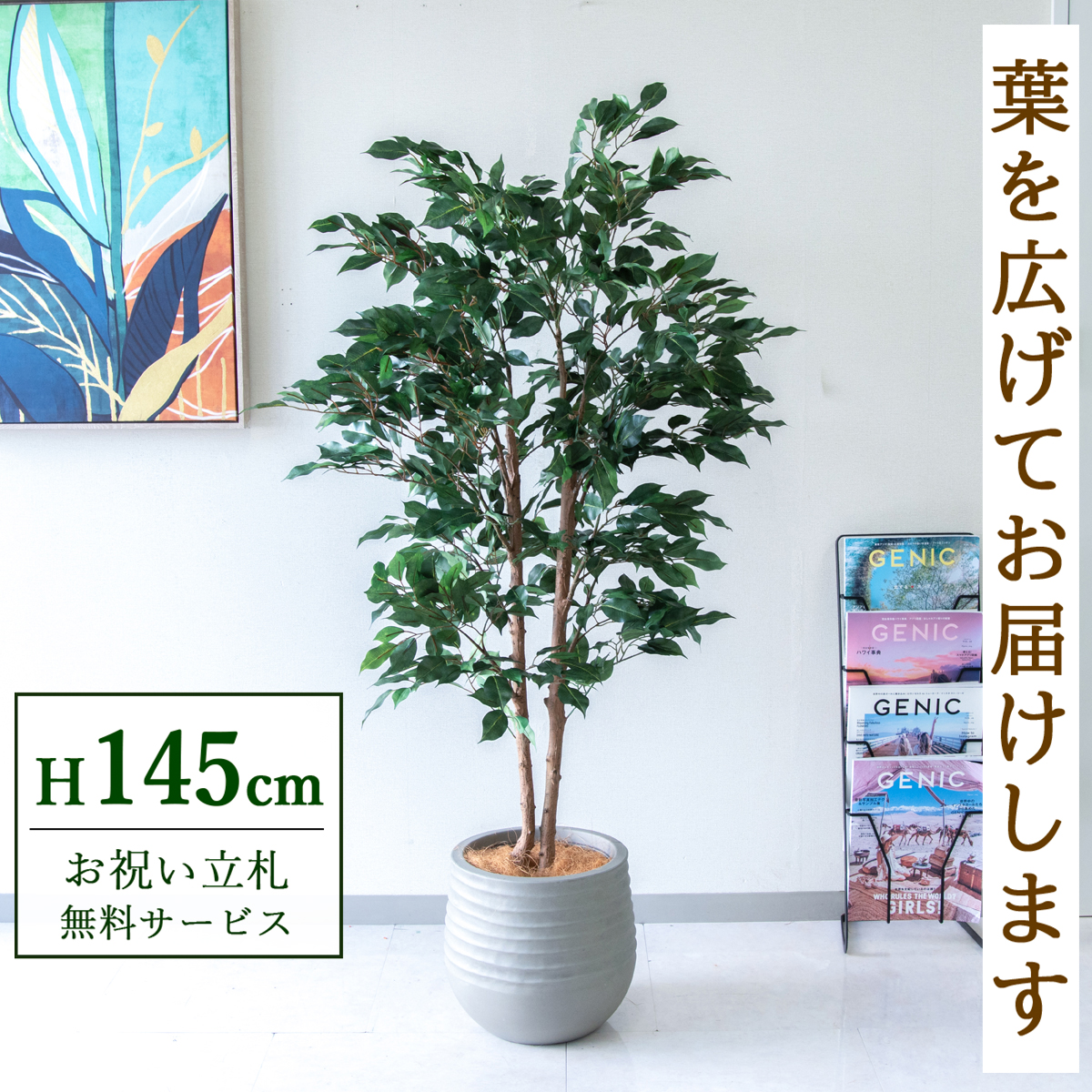 【すぐ飾れる】 フェイクグリーン フィカス ベンジャミン 145cm  鉢付き / 法人・開店祝い 店舗・オフィス装飾 空間演出 立札無料・造花/PG1008-J30