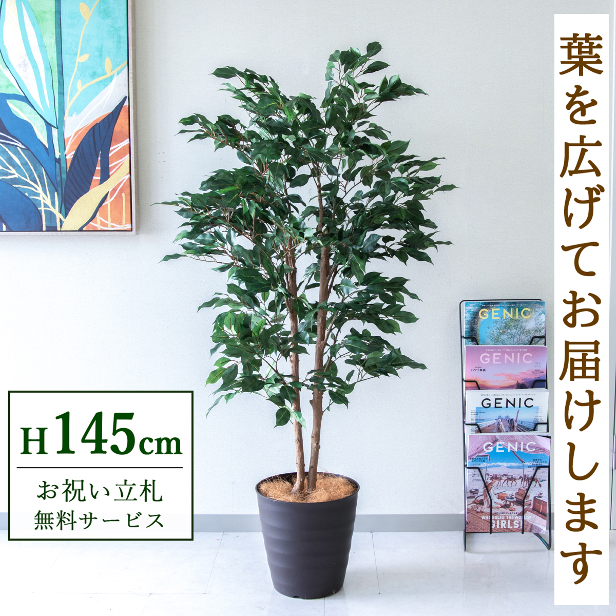 【すぐ飾れる】 フェイクグリーン フィカス ベンジャミン 145cm  鉢付き / 法人・開店祝い 店舗・オフィス装飾 空間演出 立札無料・造花/PG1008-M27DB