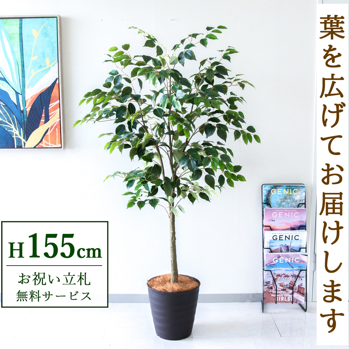 【すぐ飾れる】 フェイクグリーン フィカス ベンジャミン 155cm  鉢付き / 法人・開店祝い 店舗・オフィス装飾 空間演出 立札無料・造花/PG1012-M27DB