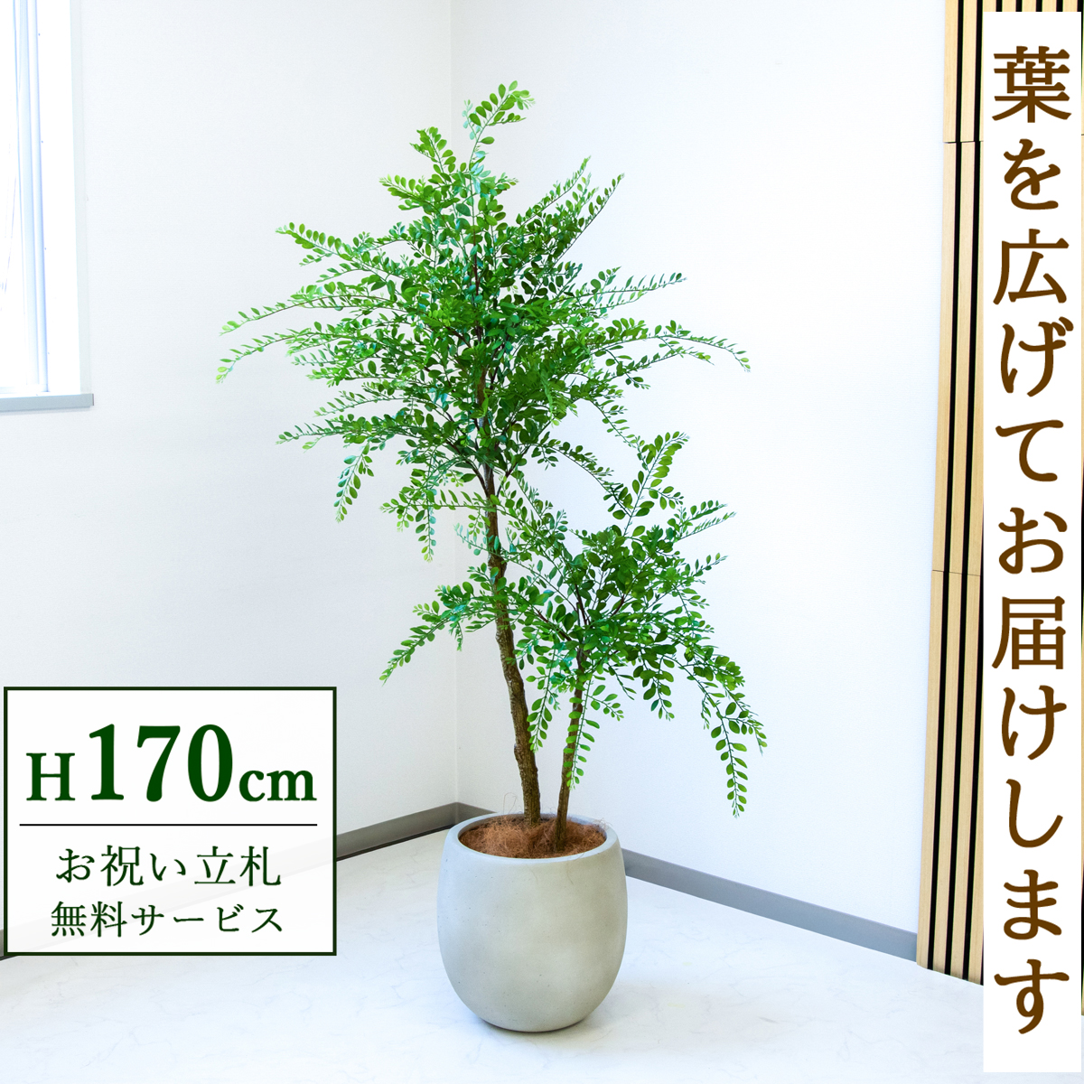 【すぐ飾れる】 フェイクグリーン トネリコ 170cm  大型 鉢付き / 法人・開店祝い 店舗・オフィス装飾 空間演出 立札無料・造花/PG1013-BAL35IV