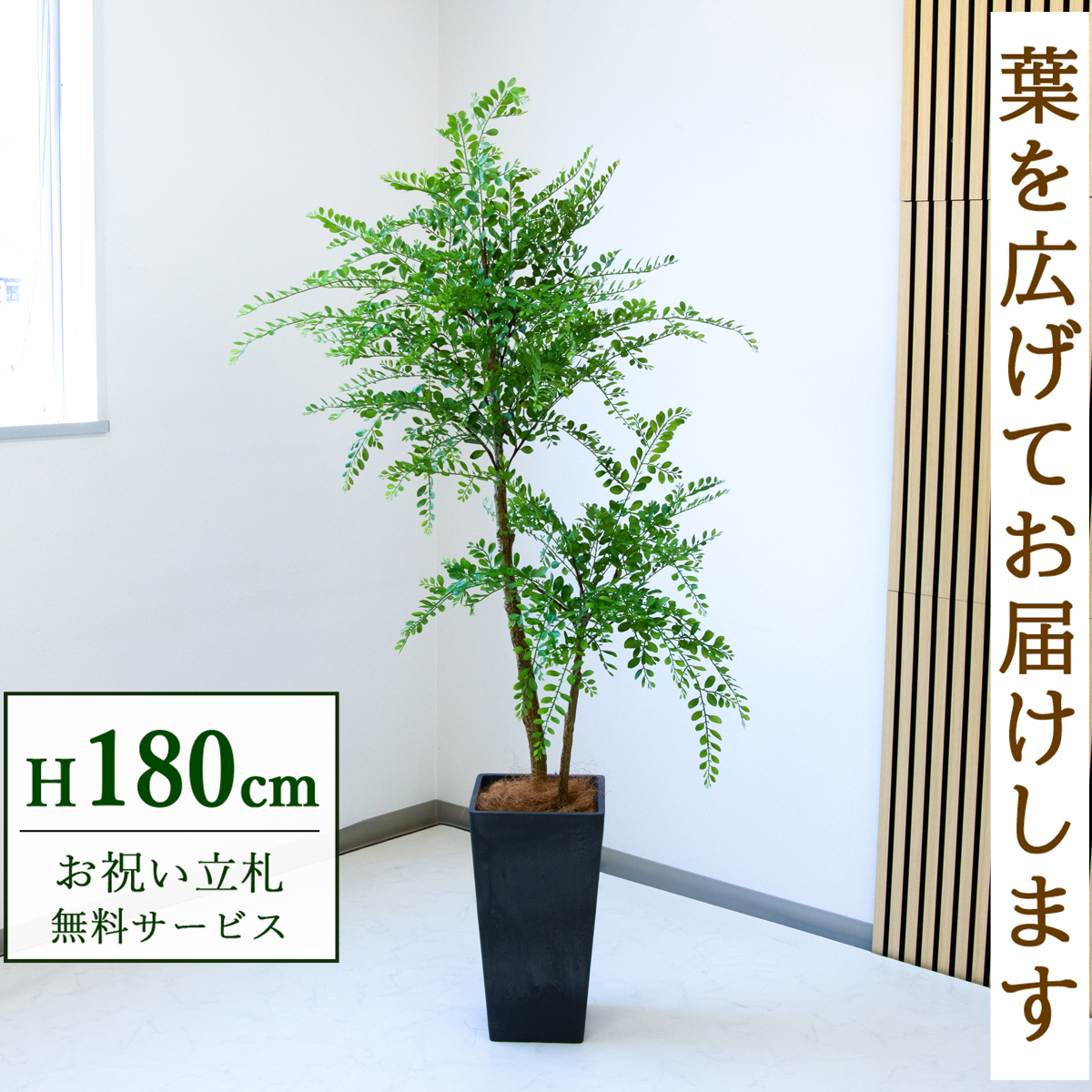 【すぐ飾れる】 フェイクグリーン トネリコ 180cm  大型 鉢付き / 法人・開店祝い 店舗・オフィス装飾 空間演出 立札無料・造花/PG1013-Q25BK