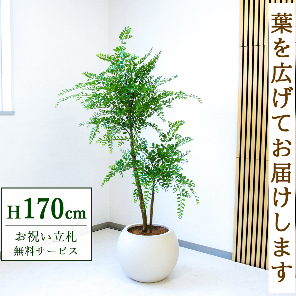 【すぐ飾れる】 フェイクグリーン トネリコ 170cm  大型 鉢付き / 法人・開店祝い 店舗・オフィス装飾 空間演出 立札無料・造花/PG1013-ROM43IV