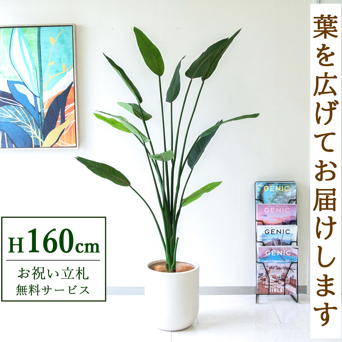 【すぐ飾れる】 フェイクグリーン ストレチア 160cm  鉢付き / 法人・開店祝い 店舗・オフィス装飾 空間演出 立札無料・造花/PG122-CHC29IV