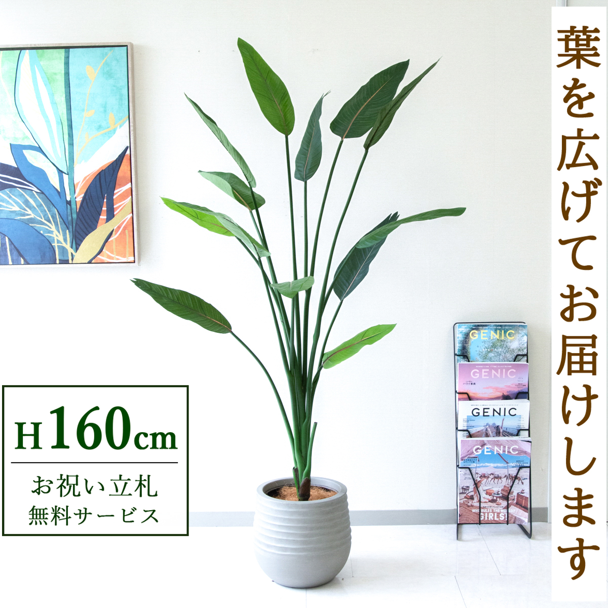 【すぐ飾れる】 フェイクグリーン ストレチア 160cm  鉢付き / 法人・開店祝い 店舗・オフィス装飾 空間演出 立札無料・造花/PG122-J30