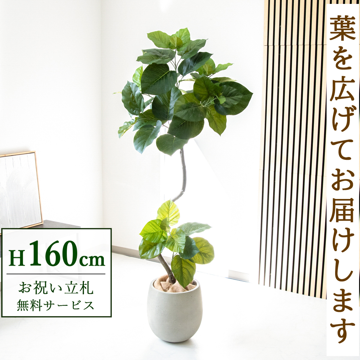 【すぐ飾れる】 フェイクグリーン フィカス ウンベラータ 160cm 鉢付き / 法人・開店祝い 店舗・オフィス装飾 空間演出 立札無料・造花/PG150-BAL30IV