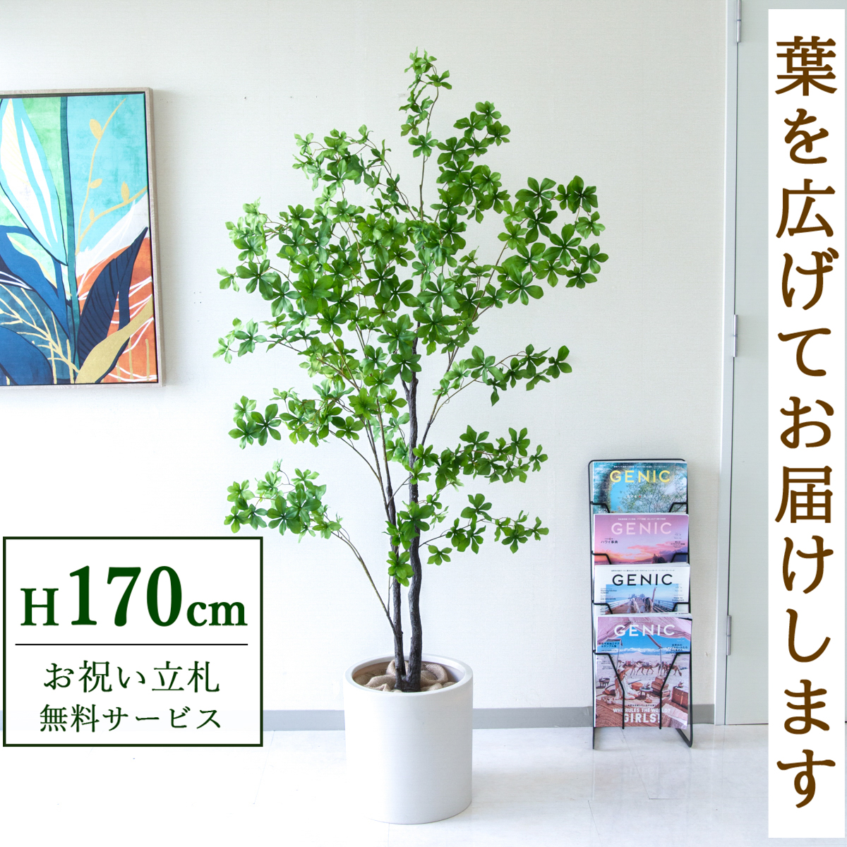 【すぐ飾れる】 フェイクグリーン ドウダンツツジ 170cm 大型 鉢付き / 法人・開店祝い 店舗・オフィス装飾 空間演出 立札無料・造花/PG158-H29