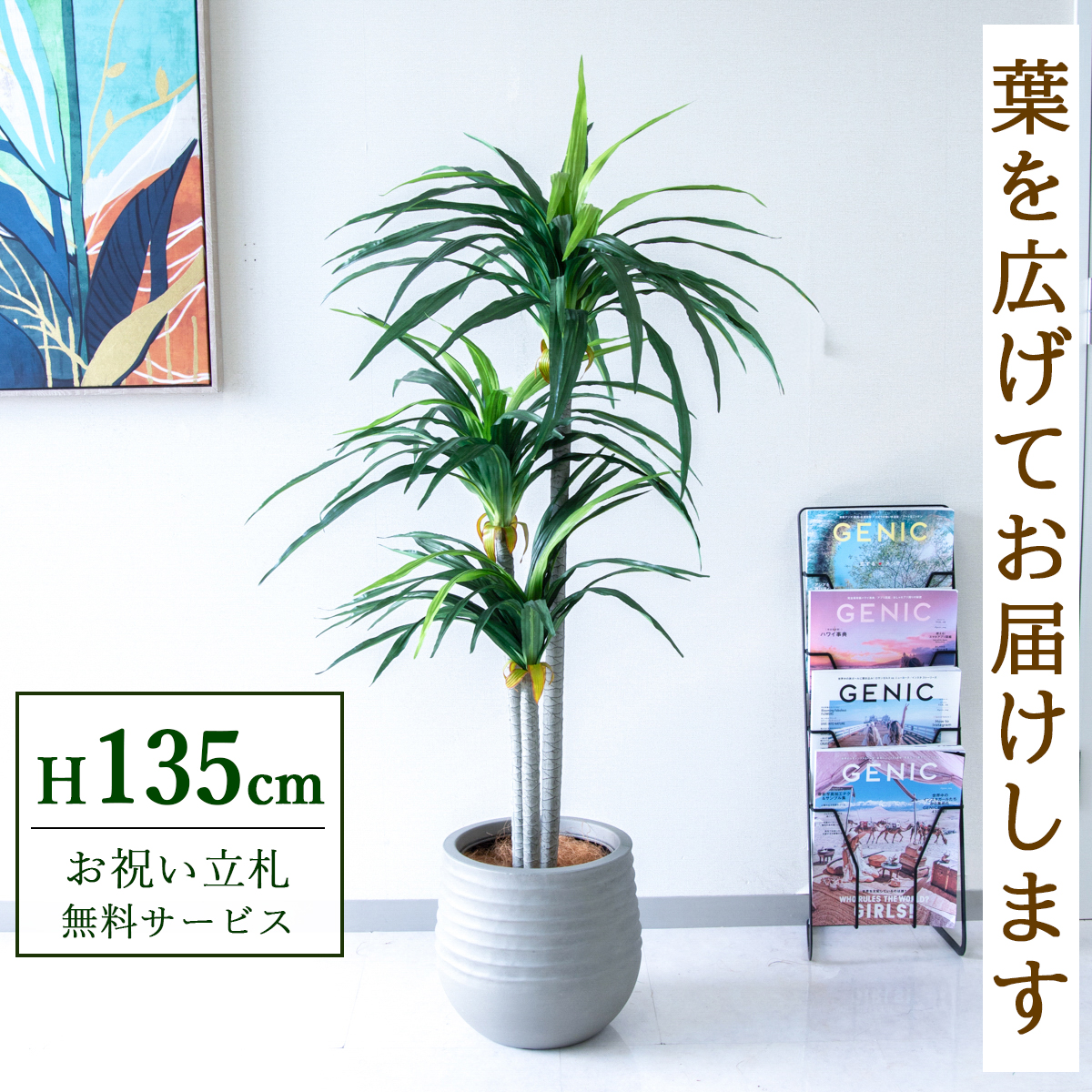 【すぐ飾れる】 フェイクグリーン ドラセナ 135cm 鉢付き / 法人・開店祝い 店舗・オフィス装飾 空間演出 立札無料・造花/PG180-J30