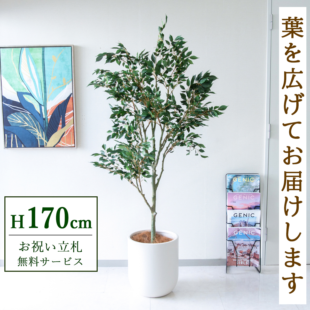 【すぐ飾れる】 フェイクグリーン フィカス ベンジャミン 170cm 大型 鉢付き / 法人・開店祝い 店舗・オフィス装飾 空間演出 立札無料・造花/PG186-CHC33IV