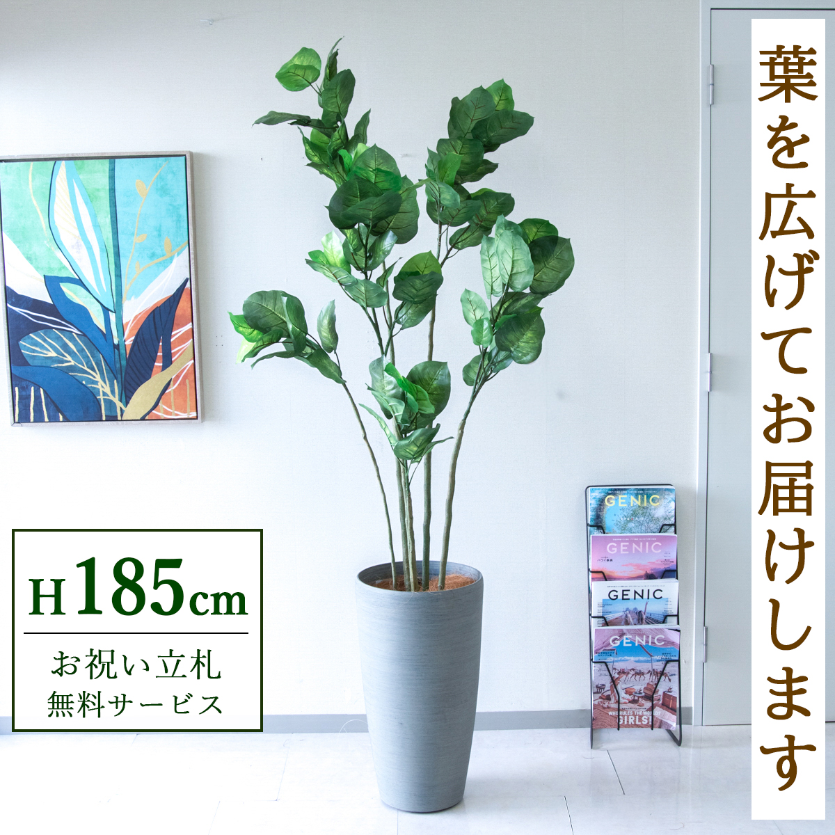 【すぐ飾れる】 フェイクグリーン フィカス ウンベラータ 185cm 大型 鉢付き / 法人・開店祝い 店舗・オフィス装飾 空間演出 立札無料・造花/PG190-ZAG32GY