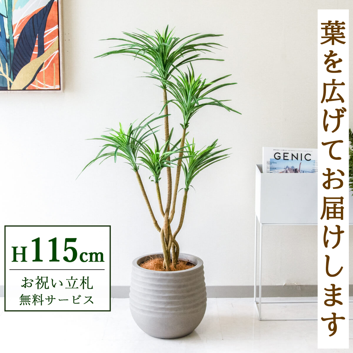 【すぐ飾れる】 フェイクグリーン ユッカ 115cm 鉢付き / 法人・開店祝い 店舗・オフィス装飾 空間演出 立札無料・造花/PG198-J30