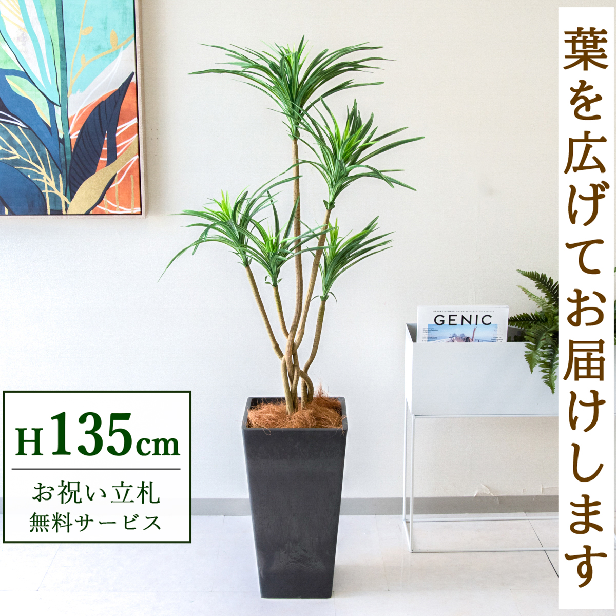 【すぐ飾れる】 フェイクグリーン ユッカ 135cm 鉢付き / 法人・開店祝い 店舗・オフィス装飾 空間演出 立札無料・造花/PG198-Q25BK