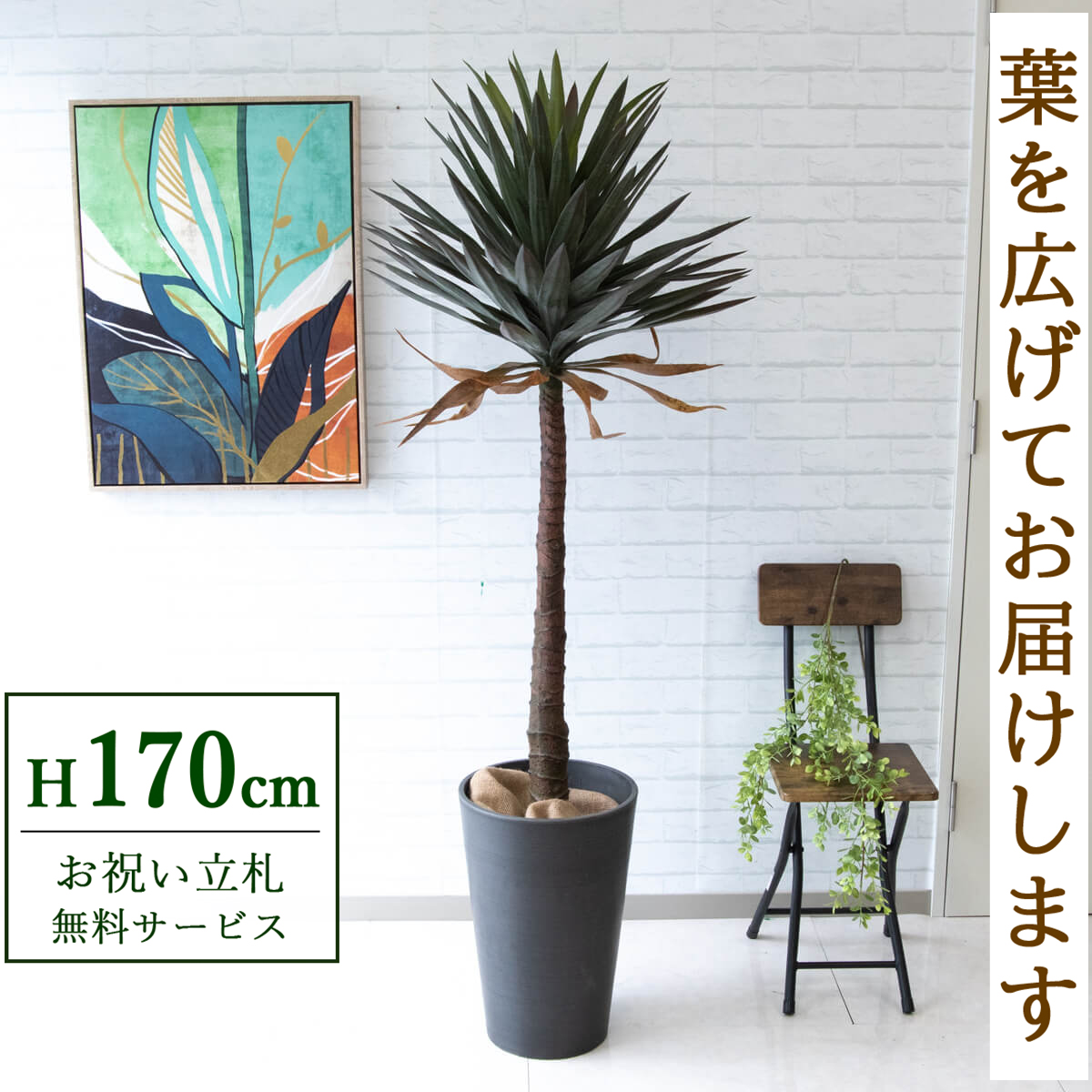【すぐ飾れる】 フェイクグリーン ユッカアロイフィリア 170cm 大型 鉢付き / 法人・開店祝い 店舗・オフィス装飾 空間演出 立札無料・造花/PG218-Z31DB