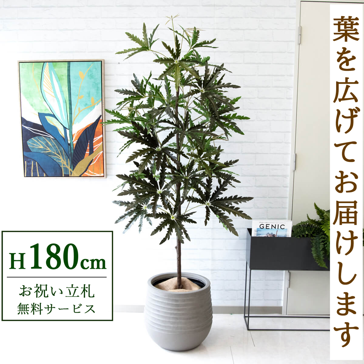 【すぐ飾れる】 フェイクグリーン アラレアツリー 180cm 大型 鉢付き / 法人・開店祝い 店舗・オフィス装飾 空間演出 立札無料・造花/PG219-J40