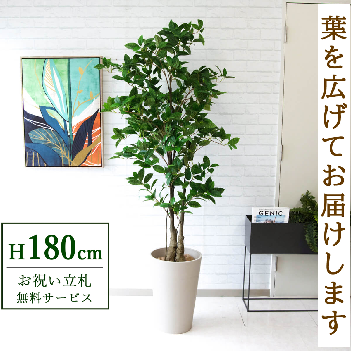 【すぐ飾れる】 フェイクグリーン オスマンサスツリー 180cm 大型 鉢付き / 法人・開店祝い 店舗・オフィス装飾 空間演出 立札無料・造花/PG220-Z31WH