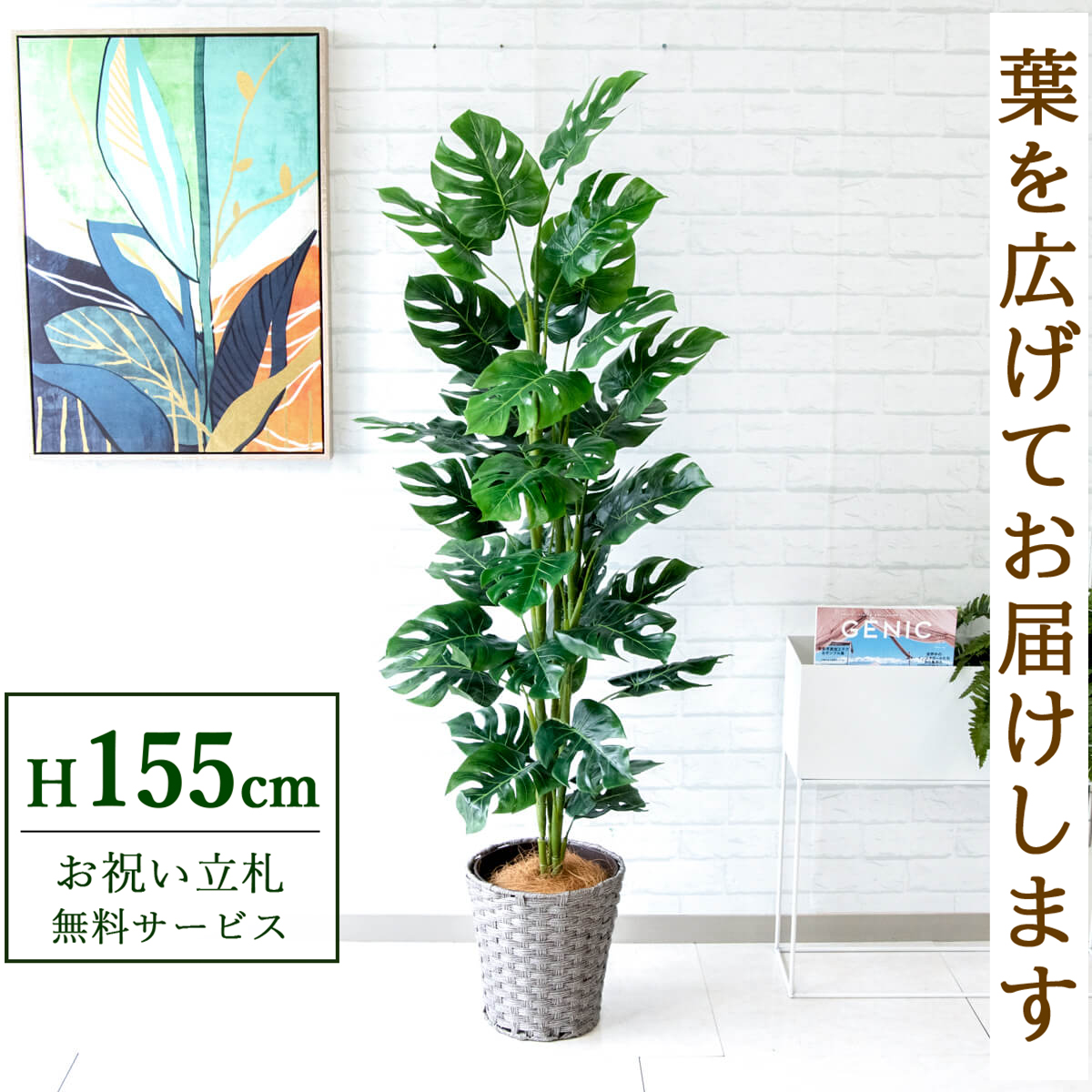 【すぐ飾れる】 フェイクグリーン スプリットフィロツリー 155cm 鉢付き / 法人・開店祝い 店舗・オフィス装飾 空間演出 立札無料・造花/PG231-MEL26GY