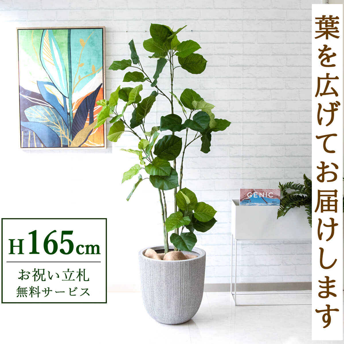 【すぐ飾れる】 フェイクグリーン フィカス ウンベラータ 165cm 鉢付き / 法人・開店祝い 店舗・オフィス装飾 空間演出 立札無料・造花/PG237-FRA37WH