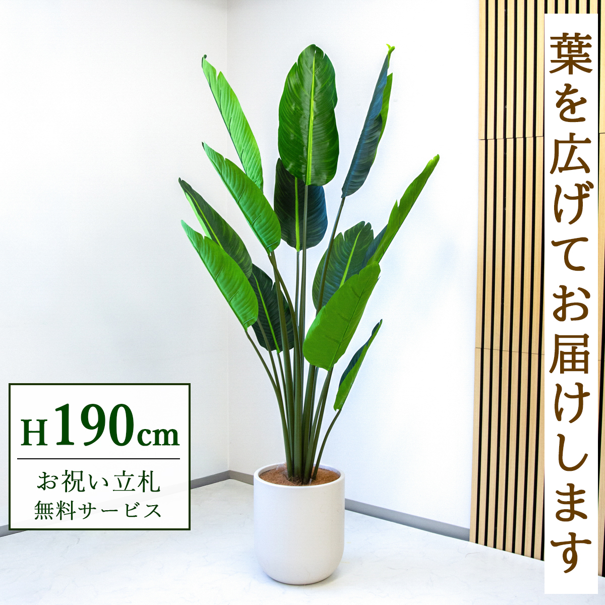 【すぐ飾れる】 フェイクグリーン オーガスタ 190cm 大型 鉢付き / 法人・開店祝い 店舗・オフィス装飾 空間演出 立札無料・造花/PG238-CHC33IV