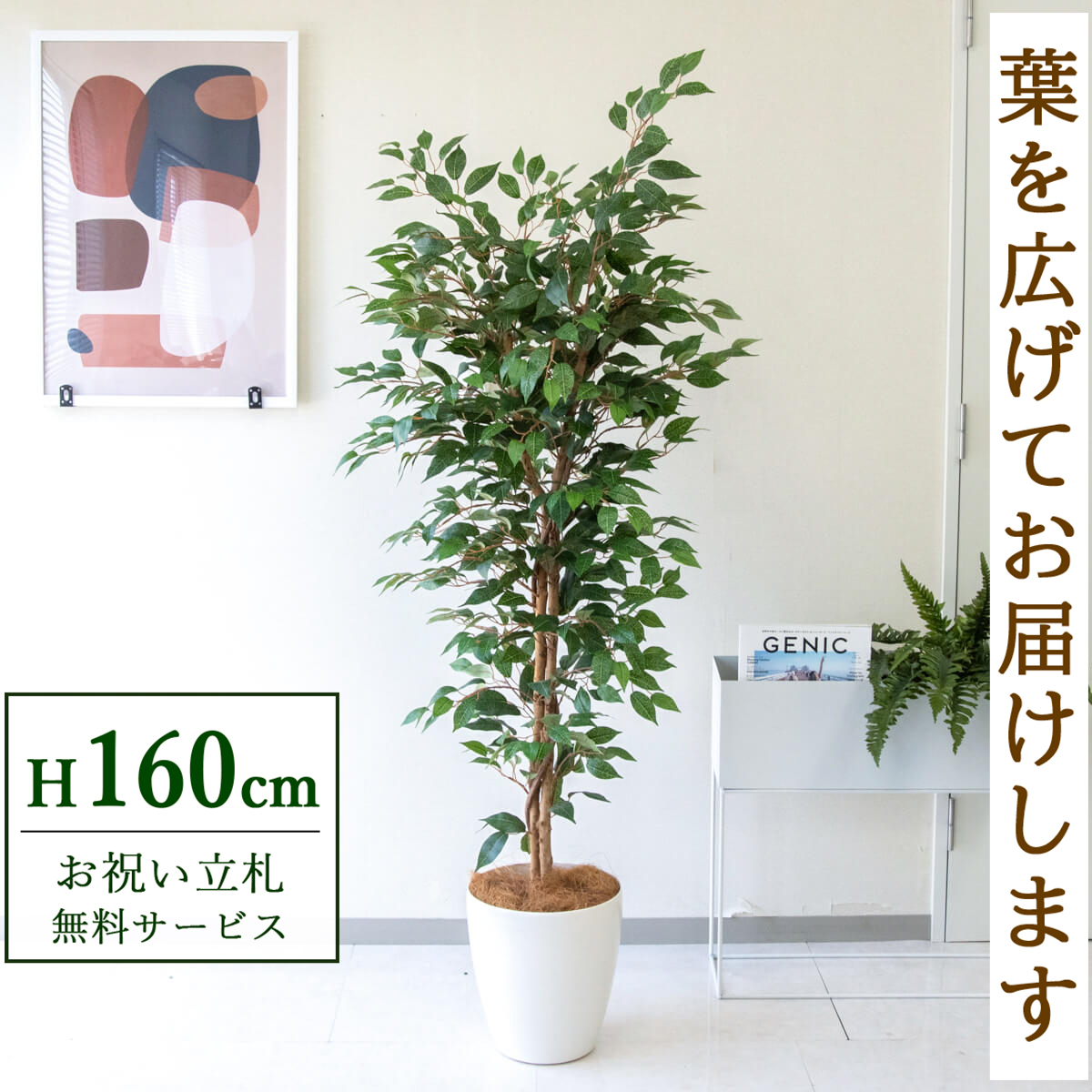 【すぐ飾れる】 フェイクグリーン フィカス ベンジャミン 160cm 鉢付き / 法人・開店祝い 店舗・オフィス装飾 空間演出 立札無料・造花/PG245-A265WH