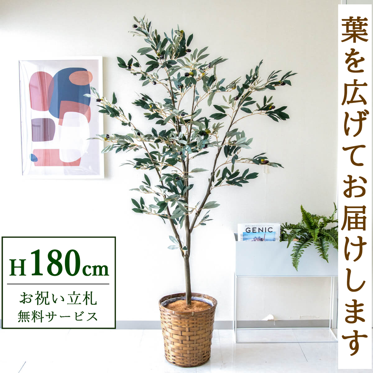 【すぐ飾れる】 フェイクグリーン オリーブ 180cm 大型 鉢付き / 法人・開店祝い 店舗・オフィス装飾 空間演出 立札無料・造花/PG246-S28