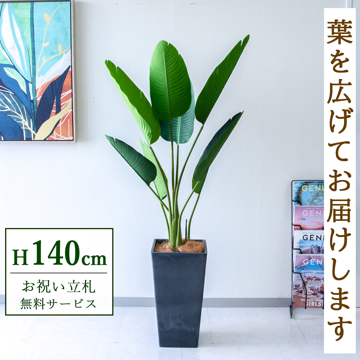 【すぐ飾れる】 フェイクグリーン オーガスタ 140cm  鉢付き / 法人・開店祝い 店舗・オフィス装飾 空間演出 立札無料・造花/PG252-Q25BK