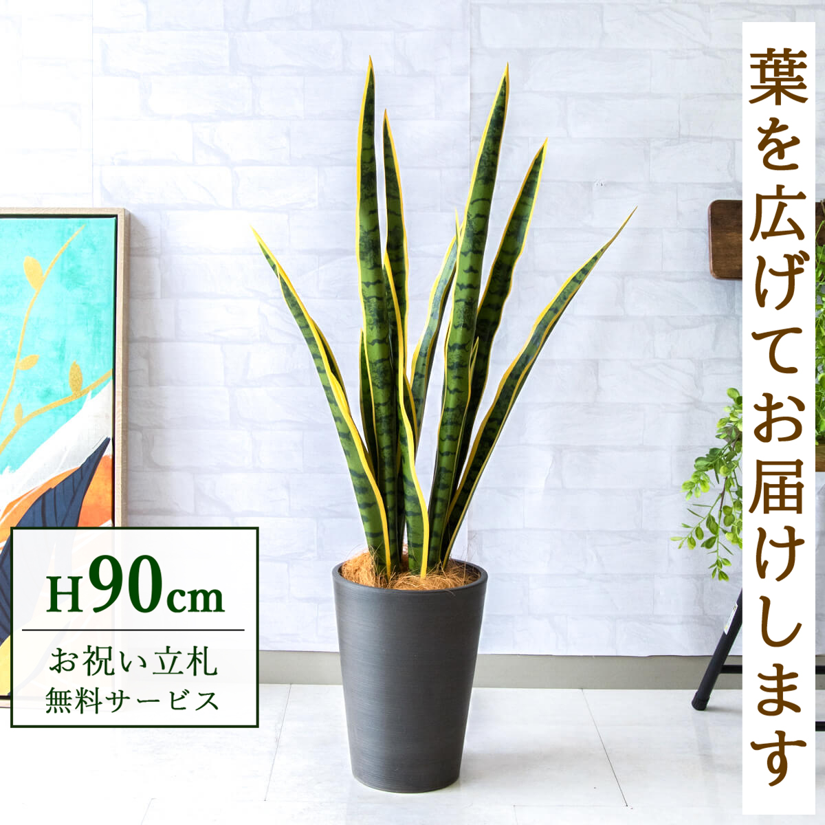 【すぐ飾れる】 フェイクグリーン サンセベリア 90cm  鉢付き / 法人・開店祝い 店舗・オフィス装飾 空間演出 立札無料・造花/PG254-X20BK