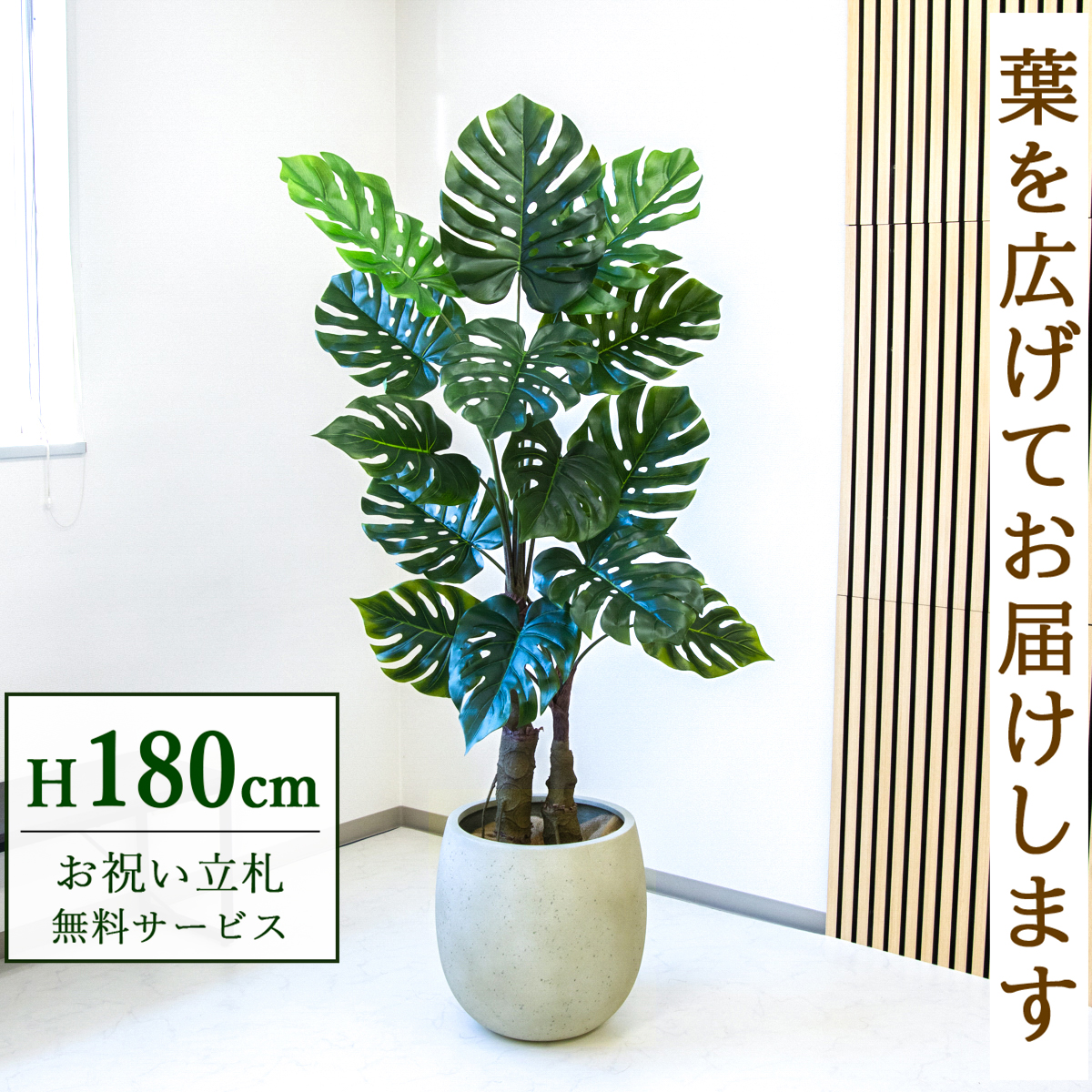 【すぐ飾れる】 フェイクグリーン モンステラ 180cm  大型 鉢付き / 法人・開店祝い 店舗・オフィス装飾 空間演出 立札無料・造花/PG259-BAL42IV