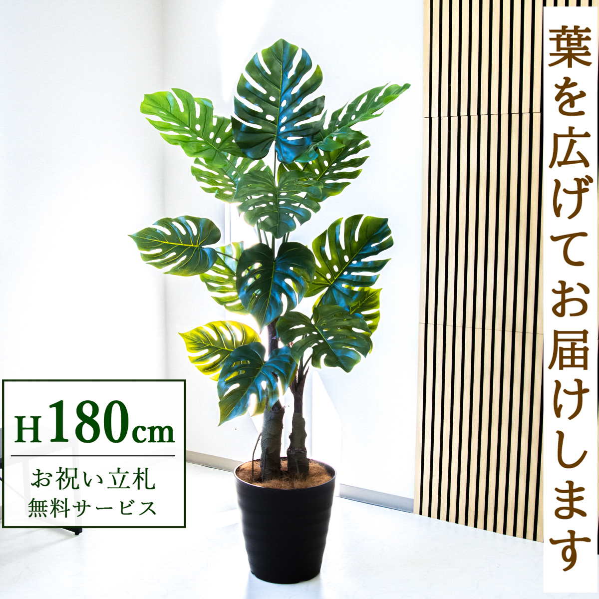 【すぐ飾れる】 フェイクグリーン モンステラ 180cm  大型 鉢付き / 法人・開店祝い 店舗・オフィス装飾 空間演出 立札無料・造花/PG259-M36DB
