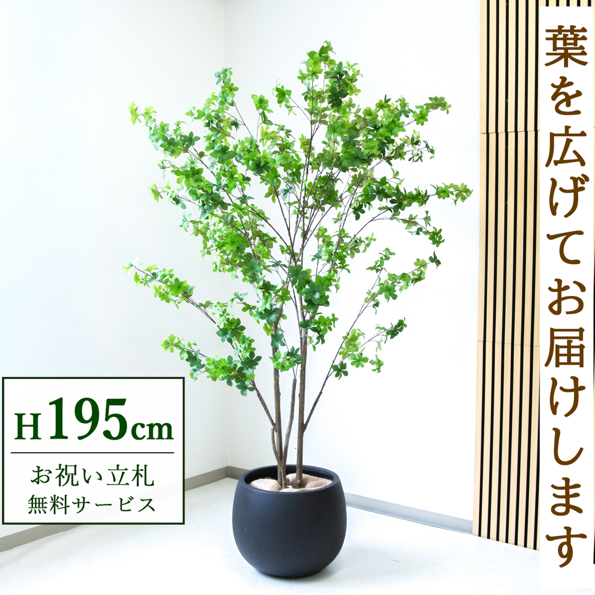 【すぐ飾れる】 フェイクグリーン ドウダンツツジ 195cm  大型 鉢付き / 法人・開店祝い 店舗・オフィス装飾 空間演出 立札無料・造花/PG261-D42BK