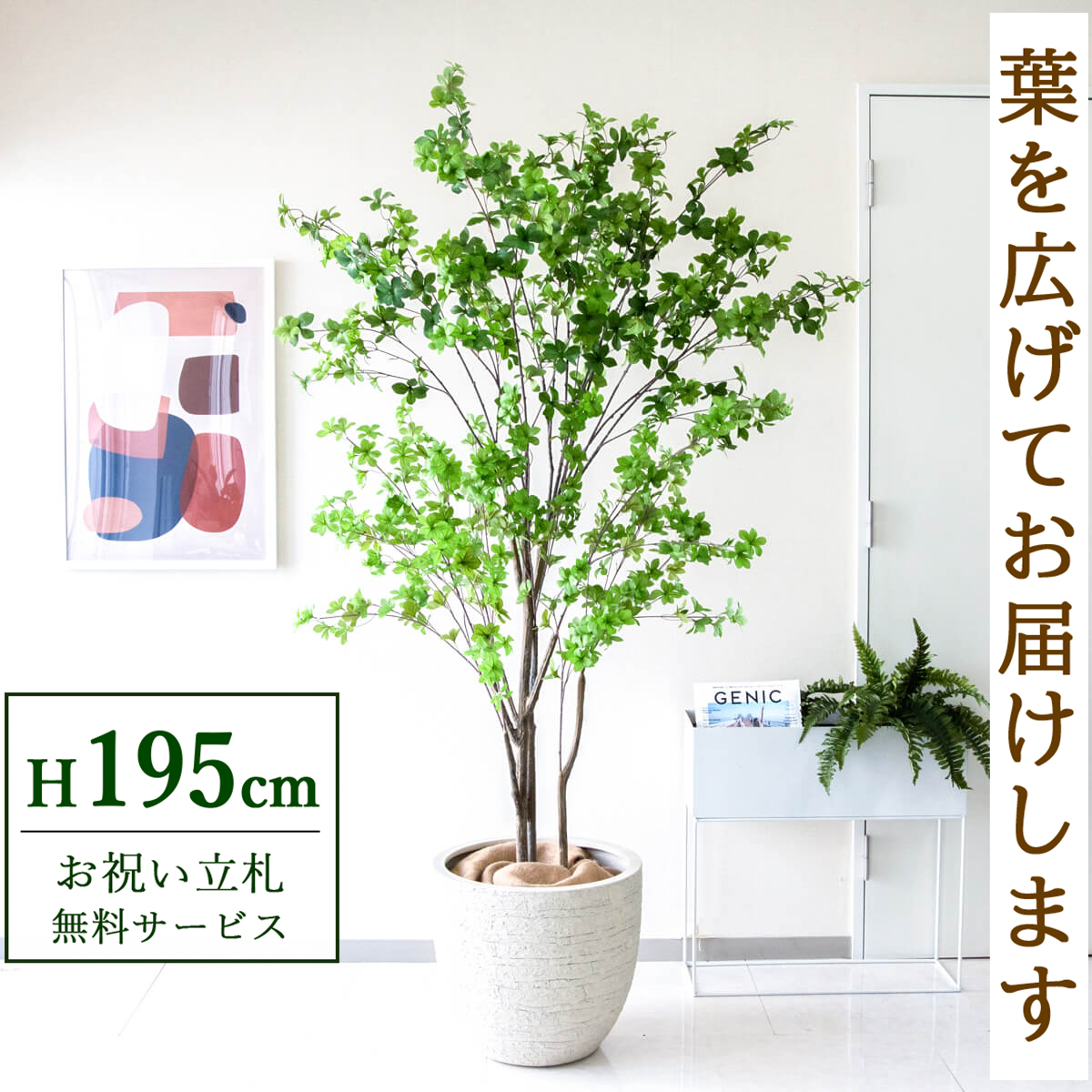 【すぐ飾れる】 フェイクグリーン ドウダンツツジ 195cm  大型 鉢付き / 法人・開店祝い 店舗・オフィス装飾 空間演出 立札無料・造花/PG261-GIG42IV