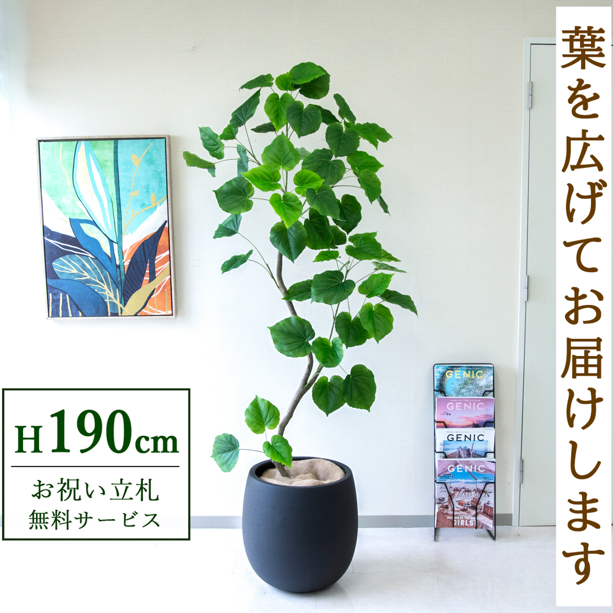 【すぐ飾れる】 フェイクグリーン フィカス ウンベラータ 190cm  大型 鉢付き / 法人・開店祝い 店舗・オフィス装飾 空間演出 立札無料・造花/PG262-BAL42BK