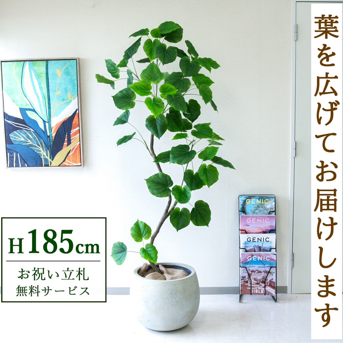 【すぐ飾れる】 フェイクグリーン フィカス ウンベラータ 185cm  大型 鉢付き / 法人・開店祝い 店舗・オフィス装飾 空間演出 立札無料・造花/PG262-D42IV