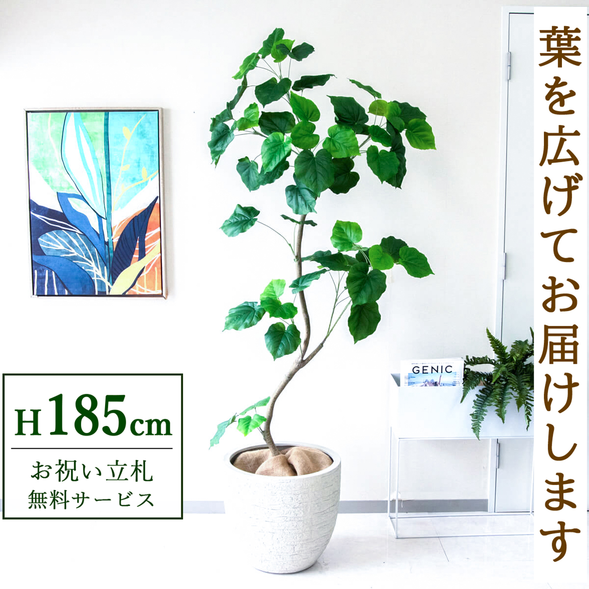 【すぐ飾れる】 フェイクグリーン フィカス ウンベラータ 185cm  大型 鉢付き / 法人・開店祝い 店舗・オフィス装飾 空間演出 立札無料・造花/PG262-GIG42IV
