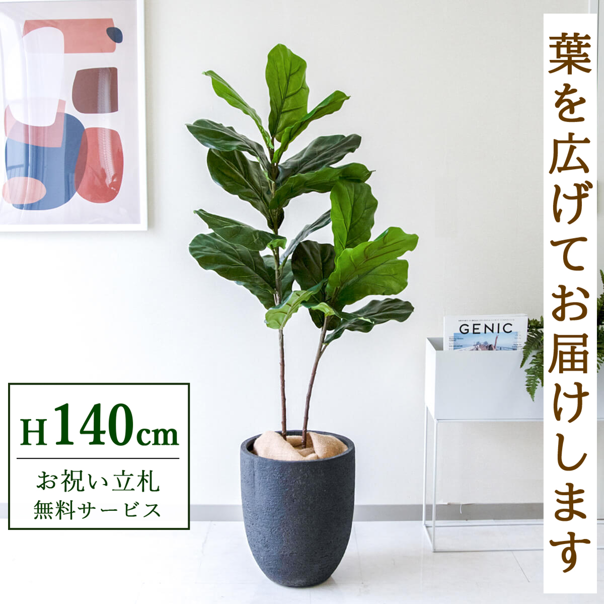 【すぐ飾れる】 フェイクグリーン フィカス カシワバゴム 140cm  鉢付き / 法人・開店祝い 店舗・オフィス装飾 空間演出 立札無料・造花/PG266-SFO31BM