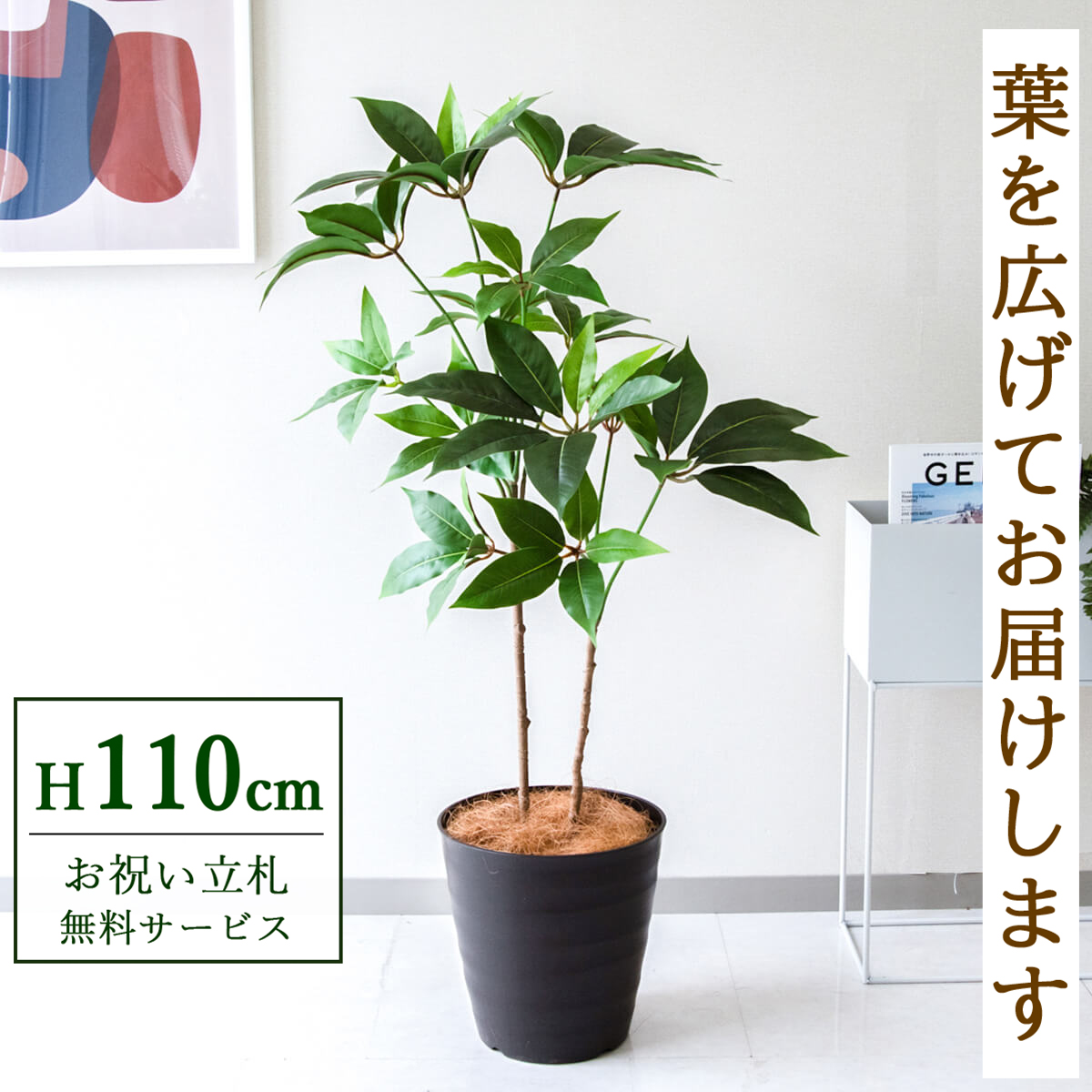 【すぐ飾れる】 フェイクグリーン ツピタンサス 110cm  鉢付き / 法人・開店祝い 店舗・オフィス装飾 空間演出 立札無料・造花/PG267-M27DB