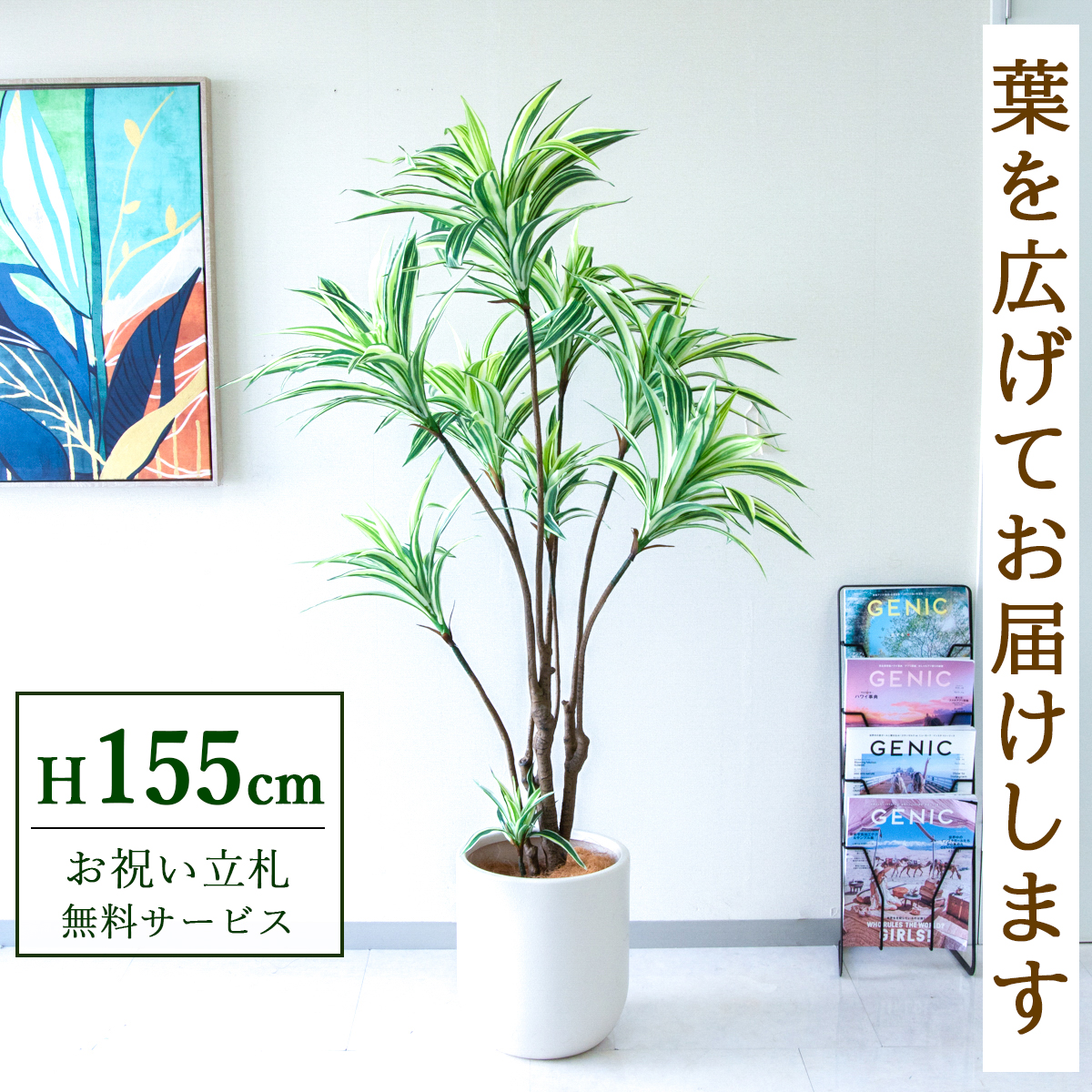 【すぐ飾れる】 フェイクグリーン ドラセナイエロー 155cm 鉢付き / 法人・開店祝い 店舗・オフィス装飾 空間演出 立札無料・造花/PG270-CHC29IV